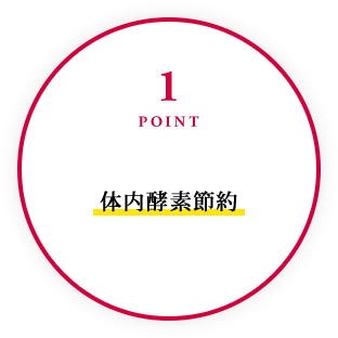 1POINT 体内酵素節約