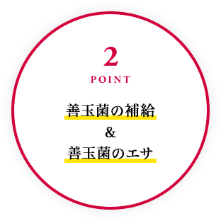 2POINT 善玉菌の補給＆善玉菌のエサ