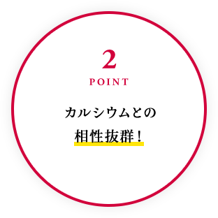 2POINT カルシウムとの相性抜群