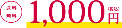 送料無料 1,000円(税込)